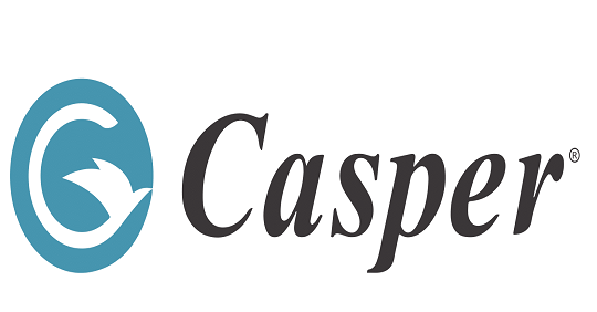 CÔNG TY CỔ PHẦN CASPER VIỆT NAM