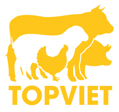Topviet Food