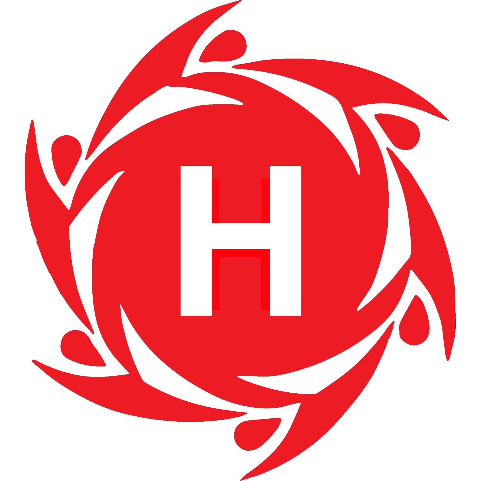 TỔ CHỨC GIÁO DỤC HAKI EDU