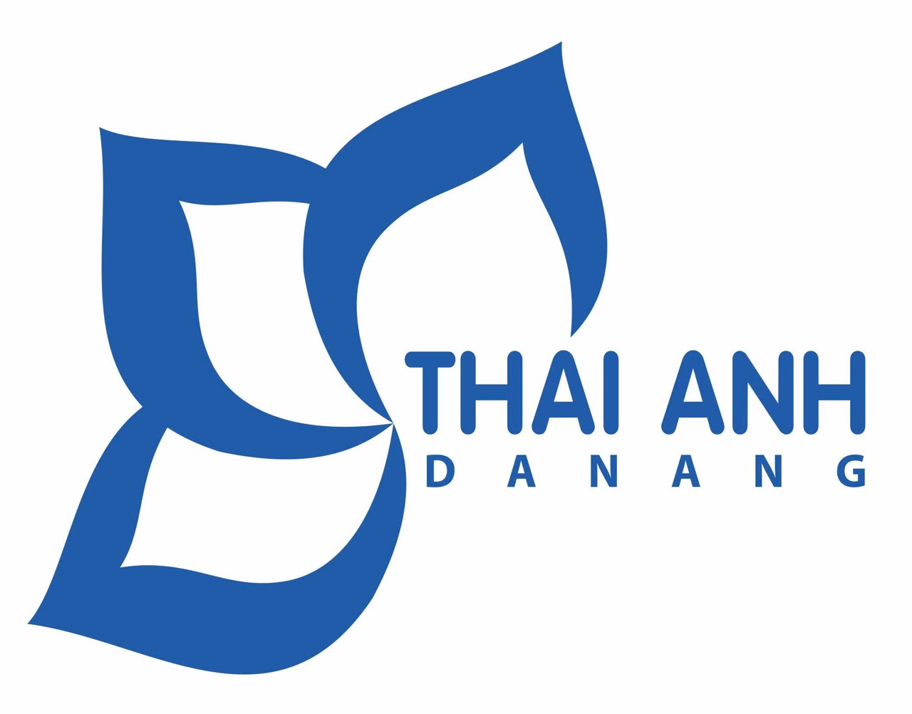 Công ty TNHH XDPT Thái Anh Đà Nẵng